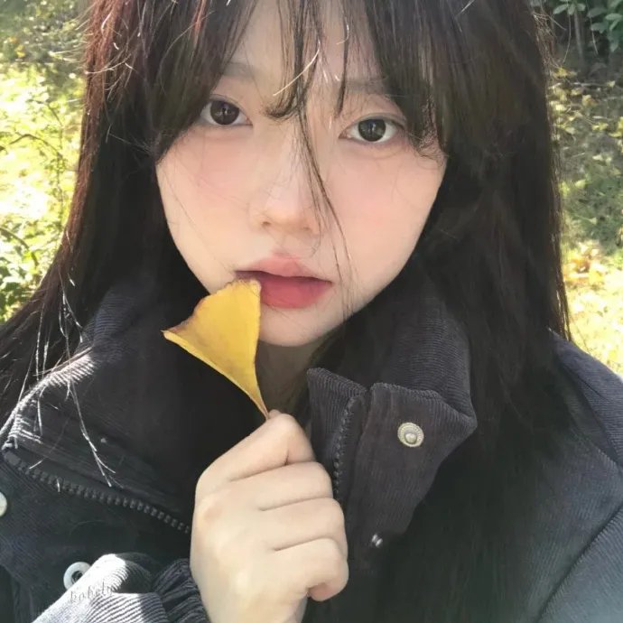 十一月的圣诞